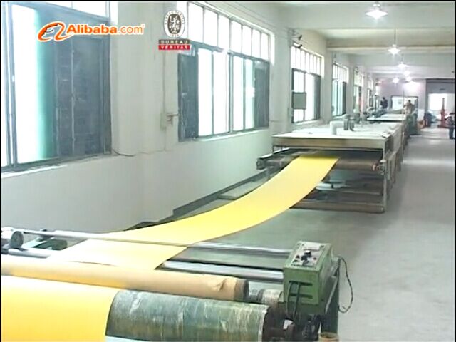 Dongyang Derun Glitter Material Co.,Ltd